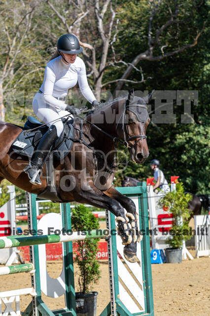 RFV Dinslaken-Hiesfeld (Herbstturnier)