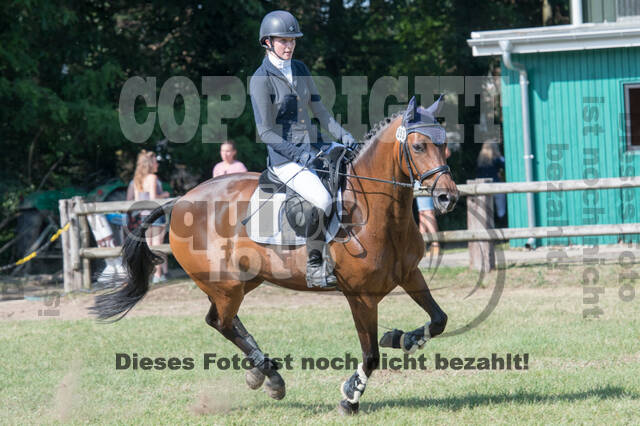 Vielseitigkeitsturnier ZRuFV von Lützow Hamminkeln