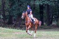 Late-Entry Vielseitigkeit Hamminkeln/Wesel (01.+02.08.2020)