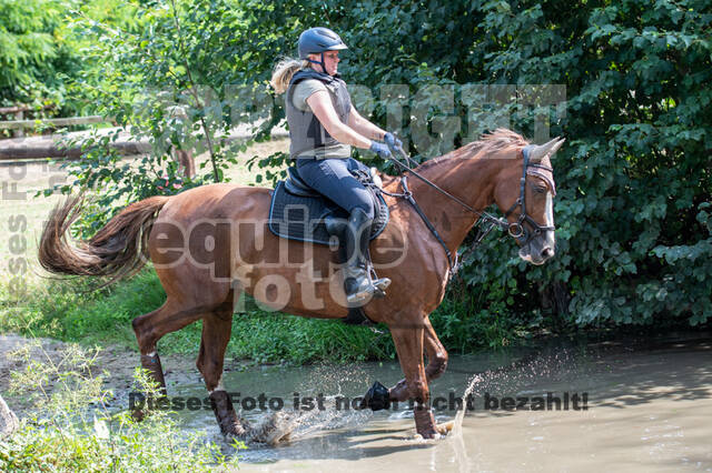 Hunter Geländetraining (16.08.2020)