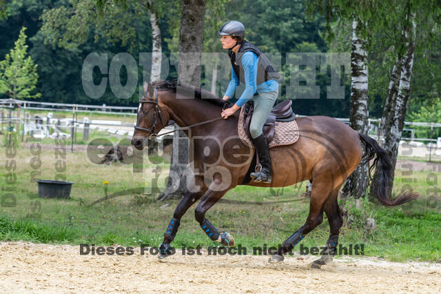 Hunter Geländetraining 10.07.2021 (Sonsbeck)