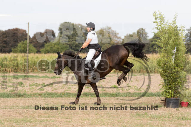 IGV Kleve