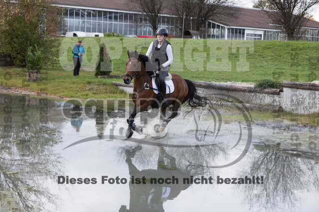 IGV Lehrgang der Sieger der Cups mit Frank Ostholt