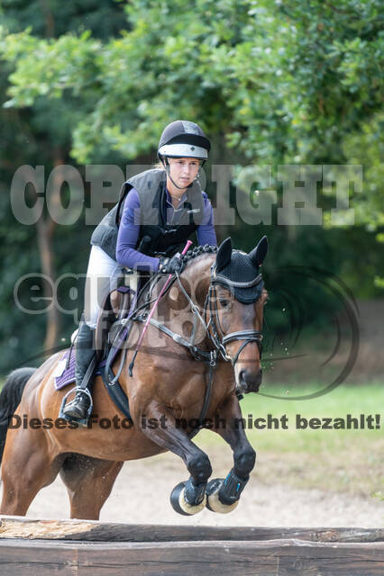 Late-Entry-Vielseitigkeit Langenfeld (11.+13./14.06.2020)