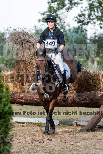 De Peelbergen (August 2020)