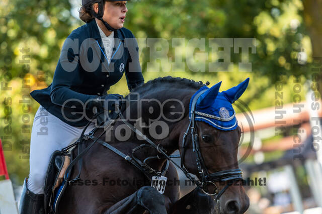 RFV Dinslaken-Hiesfeld (Herbstturnier)