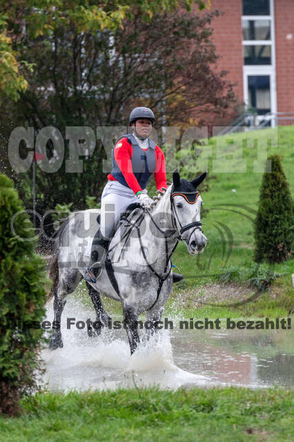 Goldene Schärpe 2020 - Pferde