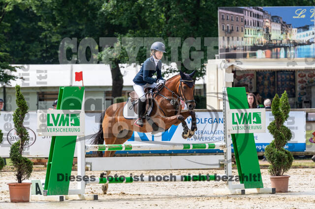 Goldene Schärpe 2021 - Ponys