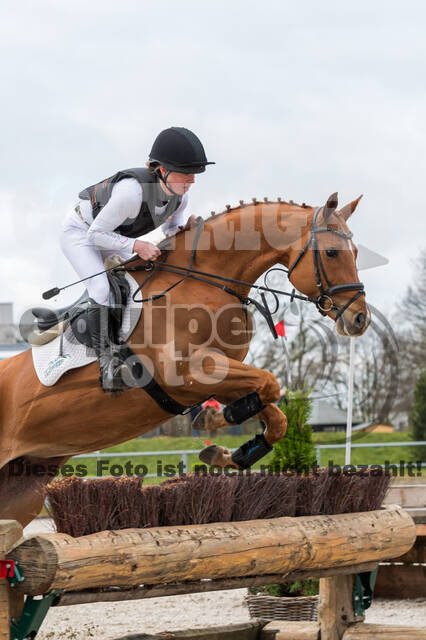 Eventing im Pferdesportzentrum Rheinland (Late Entry 14.03.2022)