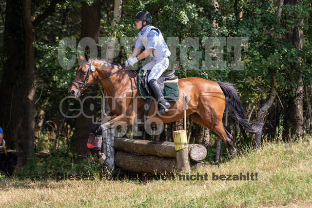 Late-Entry Vielseitigkeit Hamminkeln/Wesel (01.+02.08.2020)