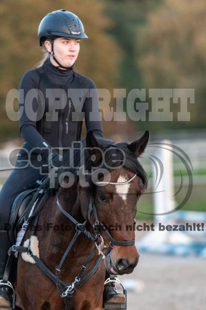 IGV Lehrgang der Sieger der Cups mit Frank Ostholt