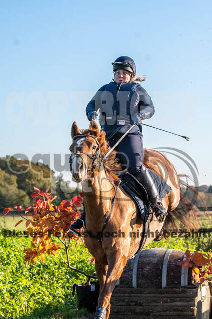 Vielseitigkeitslehrgang mit Jürg Kurbel (9.+10.11.2019)