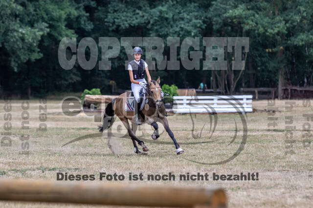 Late-Entry Vielseitigkeit Hamminkeln/Wesel (01.+02.08.2020)