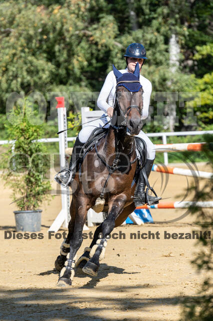 RFV Dinslaken-Hiesfeld (Herbstturnier)