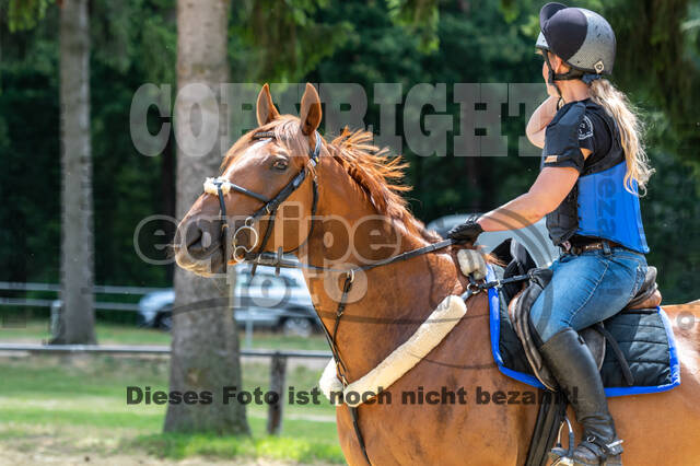 Hunter Geländetraining 10.07.2021 (Sonsbeck)