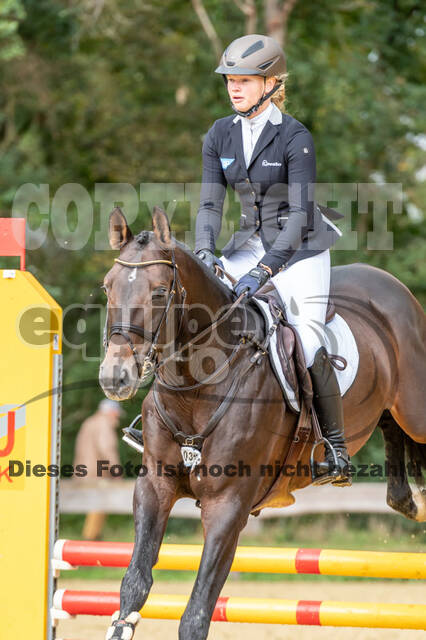 Vielseitigkeit RSV Wesel Obrighoven (26.+27.09.2020)