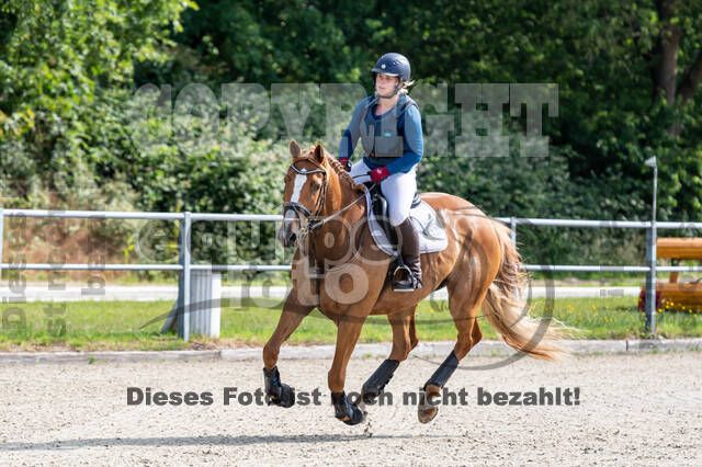 Late-Entry-Vielseitigkeit Langenfeld (11.+13./14.06.2020)