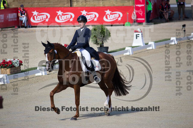 FEI European Championship Eventing 2017