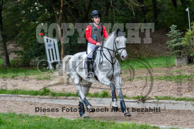 Goldene Schärpe 2020 - Pferde