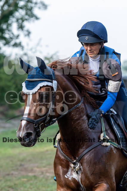 De Peelbergen (August 2020)