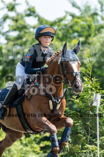 Goldene Schärpe 2021 - Ponys