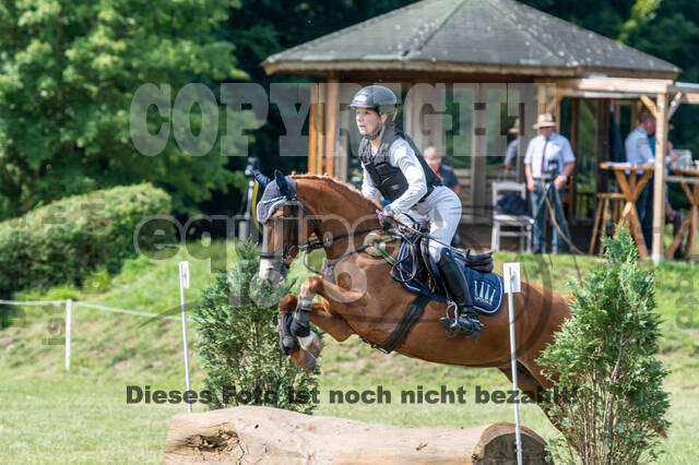 Goldene Schärpe 2021 - Ponys