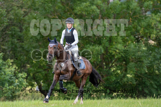 Bonn-Rodderberg Late-Entry-Vielseitigkeit (30.06.2020)