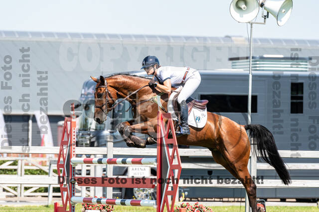 Kronenberg - De Peelbergen (August 2020)