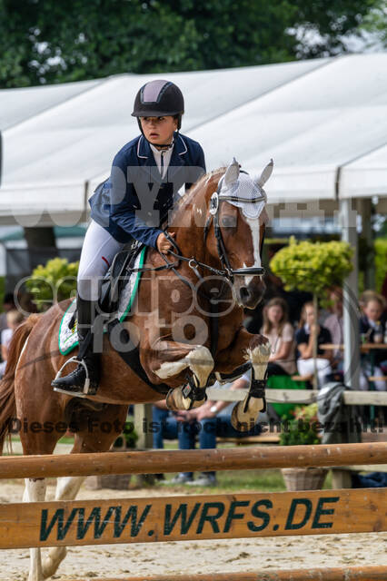 Goldene Schärpe 2021 - Ponys