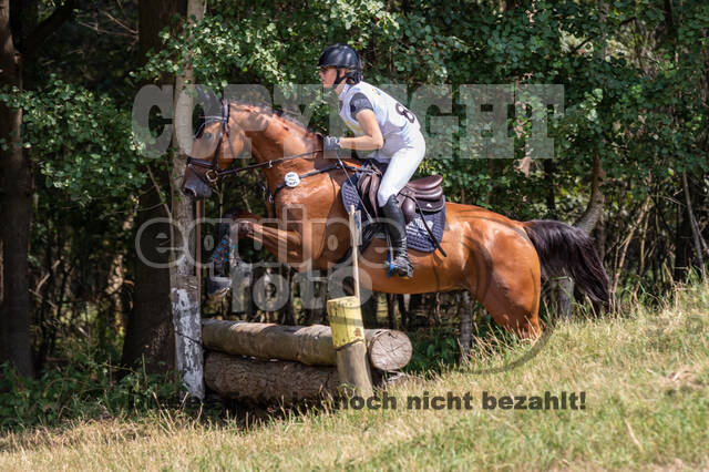 Late-Entry Vielseitigkeit Hamminkeln/Wesel (01.+02.08.2020)