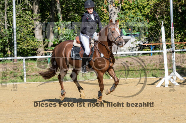 RFV Dinslaken-Hiesfeld (Herbstturnier)