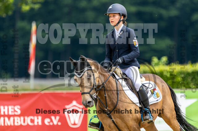 Goldene Schärpe 2021 - Ponys