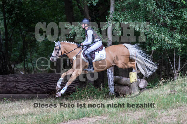 Late-Entry Vielseitigkeit Hamminkeln/Wesel (01.+02.08.2020)