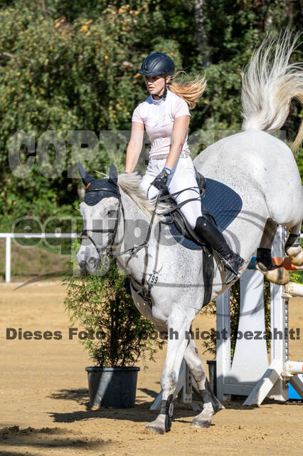 RFV Dinslaken-Hiesfeld (Herbstturnier)