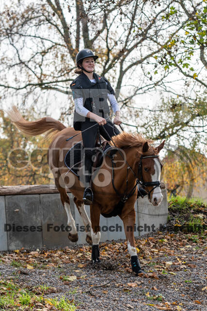 IGV Lehrgang der Sieger der Cups mit Frank Ostholt