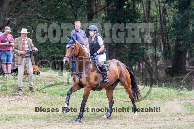 Late-Entry Vielseitigkeit Hamminkeln/Wesel (01.+02.08.2020)