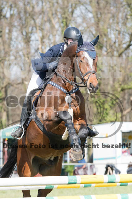 Frühjahrsvielseitigkeit RV Seydlitz Kamp