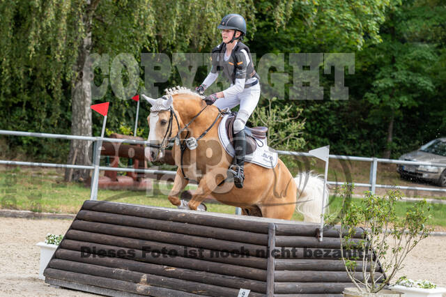 Late-Entry-Vielseitigkeit Langenfeld (11.+13./14.06.2020)