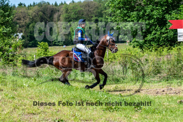 Westerstede Horse Trials (10.-13.06.2021)