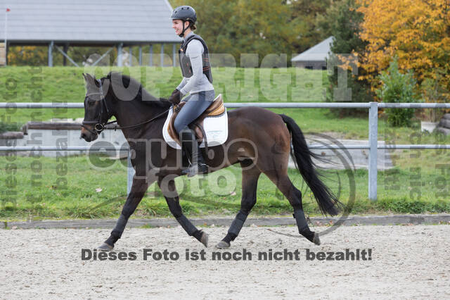 IGV Lehrgang der Sieger der Cups mit Frank Ostholt