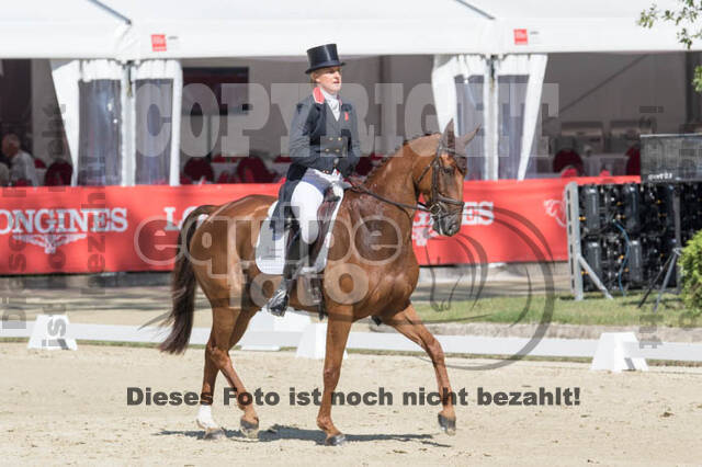 FEI European Championship Eventing 2017