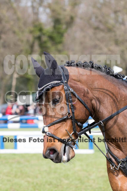 Frühjahrsvielseitigkeit RV Seydlitz Kamp