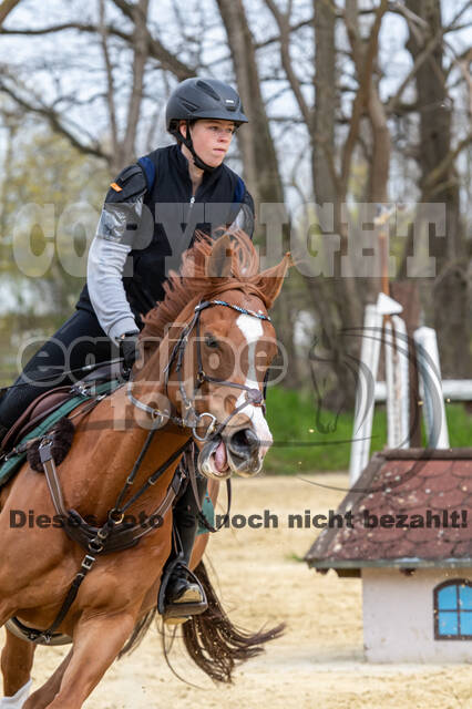 Geländetraining ZRFV Hamminkeln (24+25.04.2021)