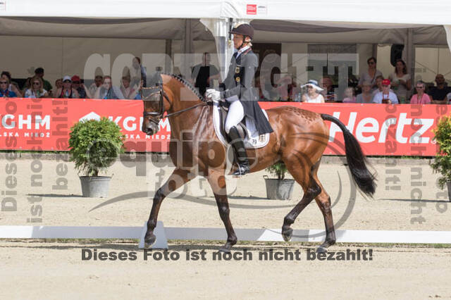 FEI European Championship Eventing 2017