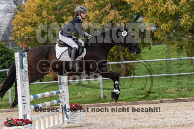 Goldene Schärpe 2020 - Pferde