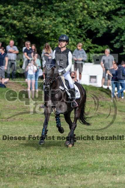 Goldene Schärpe 2021 - Ponys