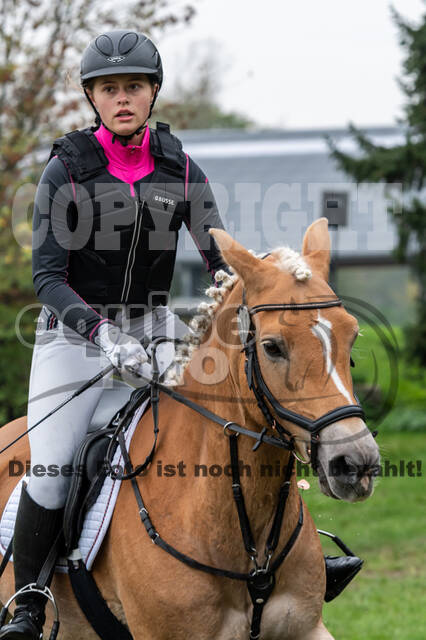 Goldene Schärpe 2020 - Pferde