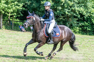 Goldene Schärpe 2021 - Ponys