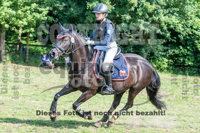 Goldene Schärpe 2021 - Ponys