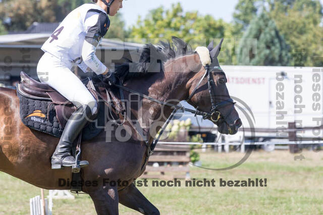 Vielseitigkeitsturnier RSV St. Hubertus Wesel Obrighoven